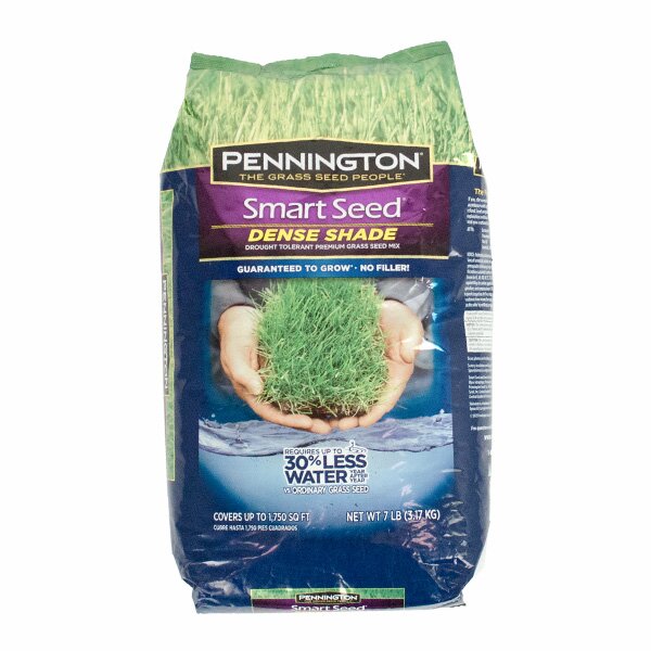 smart seed dense shade
