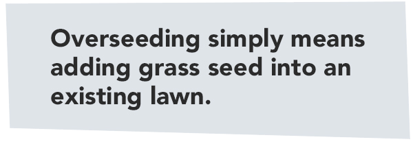 overseed callout
