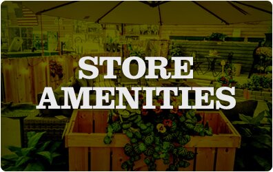 Store Amenities