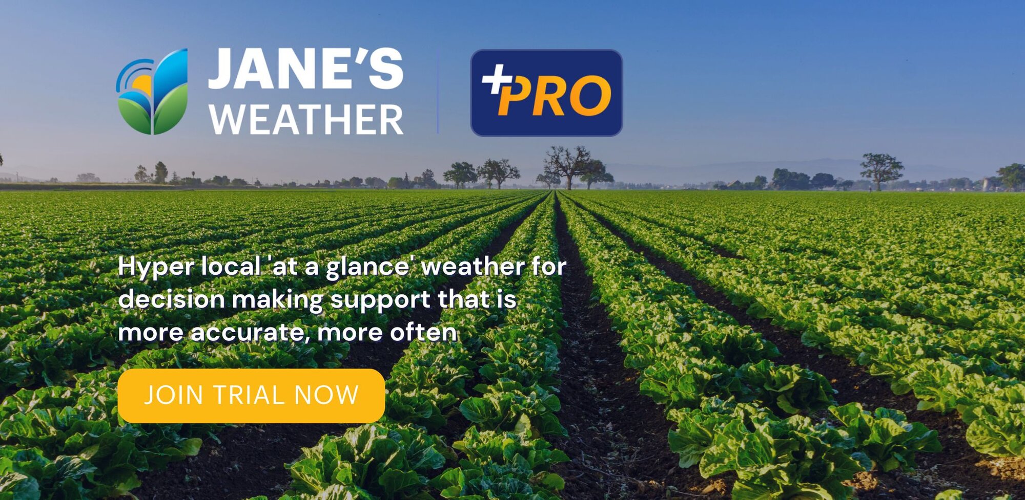 Jane's Weather PRO - join the waitlist, trial now open