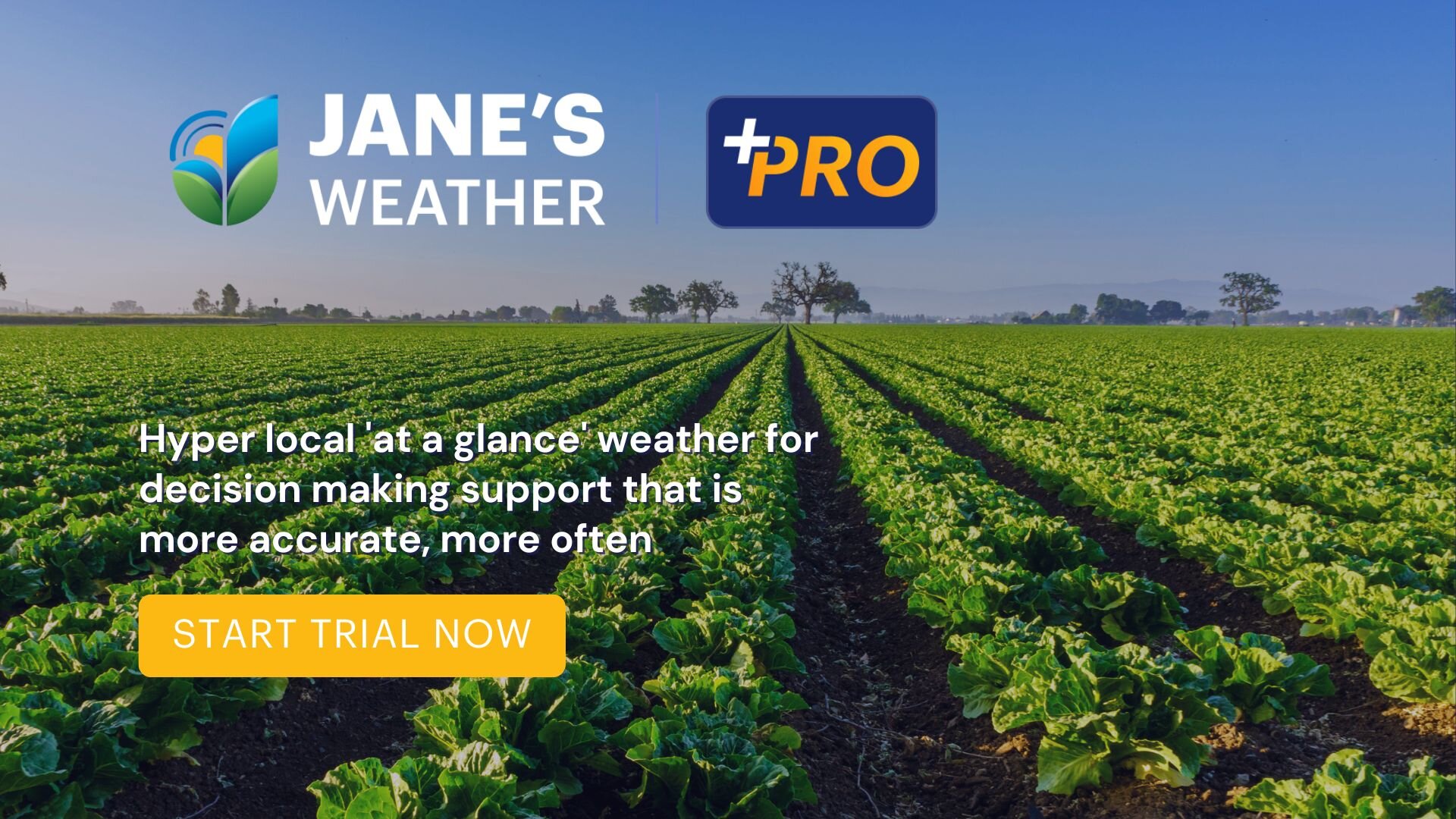 Jane's Weather PRO - join the waitlist, trial now open