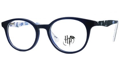 harry potter hp446 frame