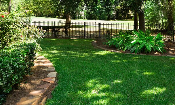 A green lawn freshly cut and garden beds. 