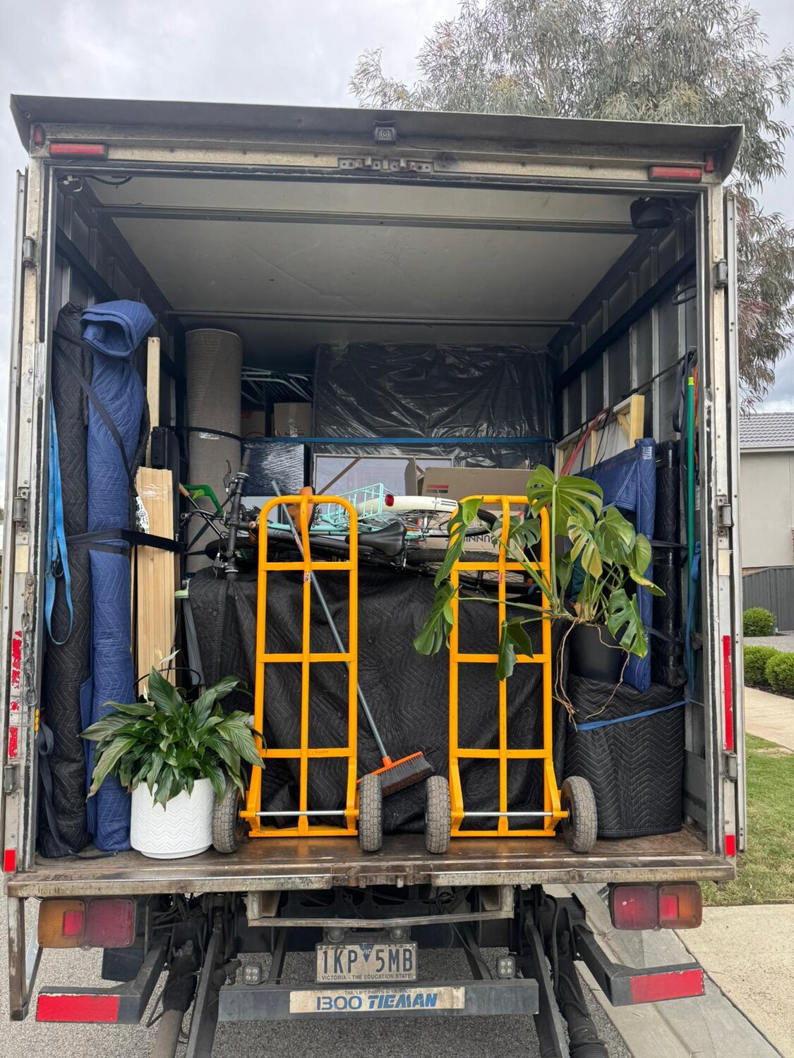 Loading a potted monstera into the boot of a car on moving day rather than into the removal truck