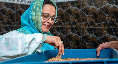 HowAPakistaniEntrepreneurSpunThreadWormsAndChickensIntoGold