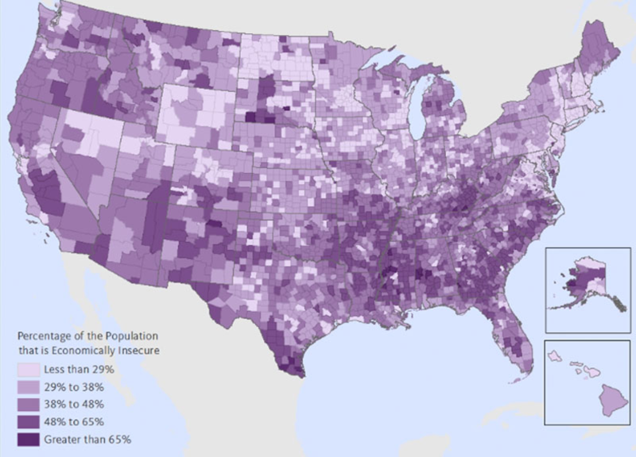 100MillionandCountingAPortraitofEconomicInsecurityintheUnitedStates