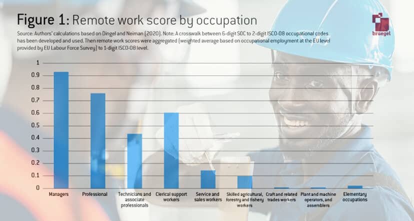 RemoteWorkEULabourMarketsandWageInequality