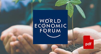 TheRoleOfCorporatePhilanthropyInAcceleratingClimateAndNatureTransitions