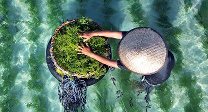 UnlockingCriticalFinanceForClimateAndEconomicResilience