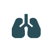 Lungs Icon