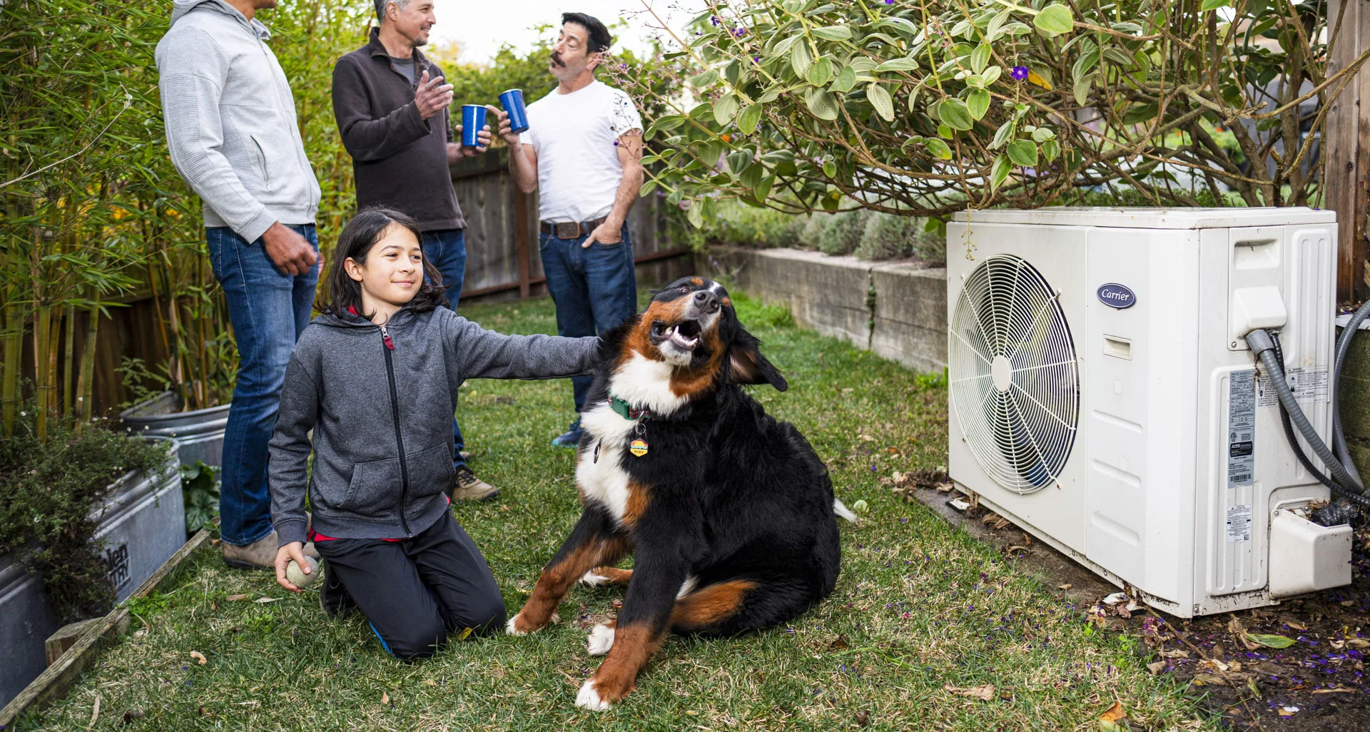 Electrify My Block scene