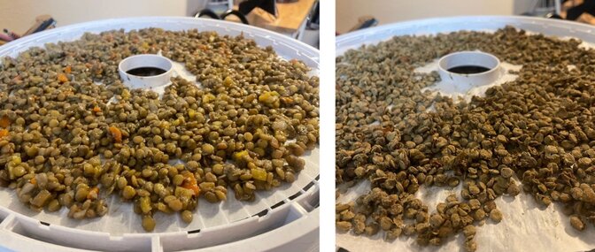 Homemade dehydrated lentils and rice for backpacking—the before and after.