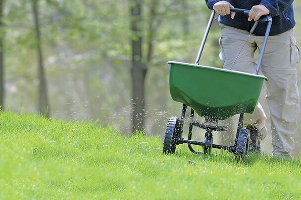 Applying fertilizer to lawn