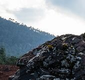 Wilderness