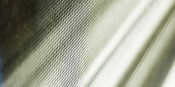 An upclose capture of a screen.
