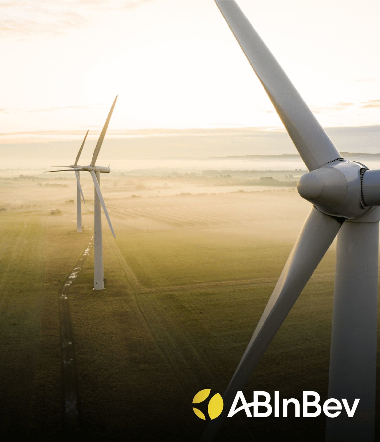 Suppliers are key to developing climate solutions across AB InBev’s value chain: “We go further together than alone.”