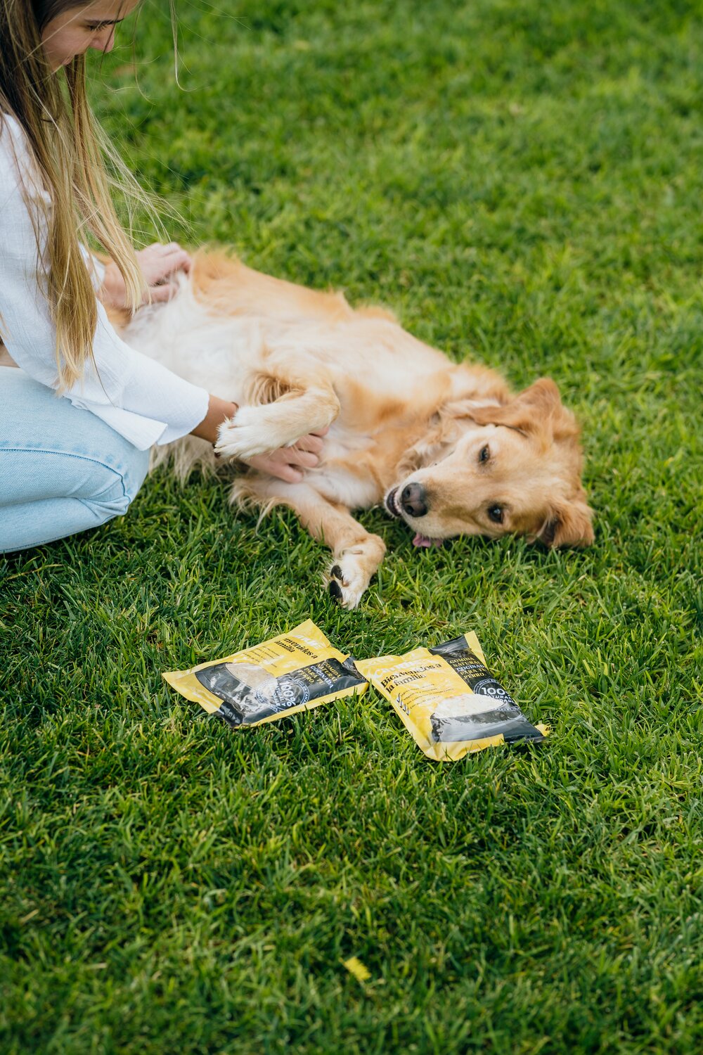 Hablamos de razas, Golden Retriever