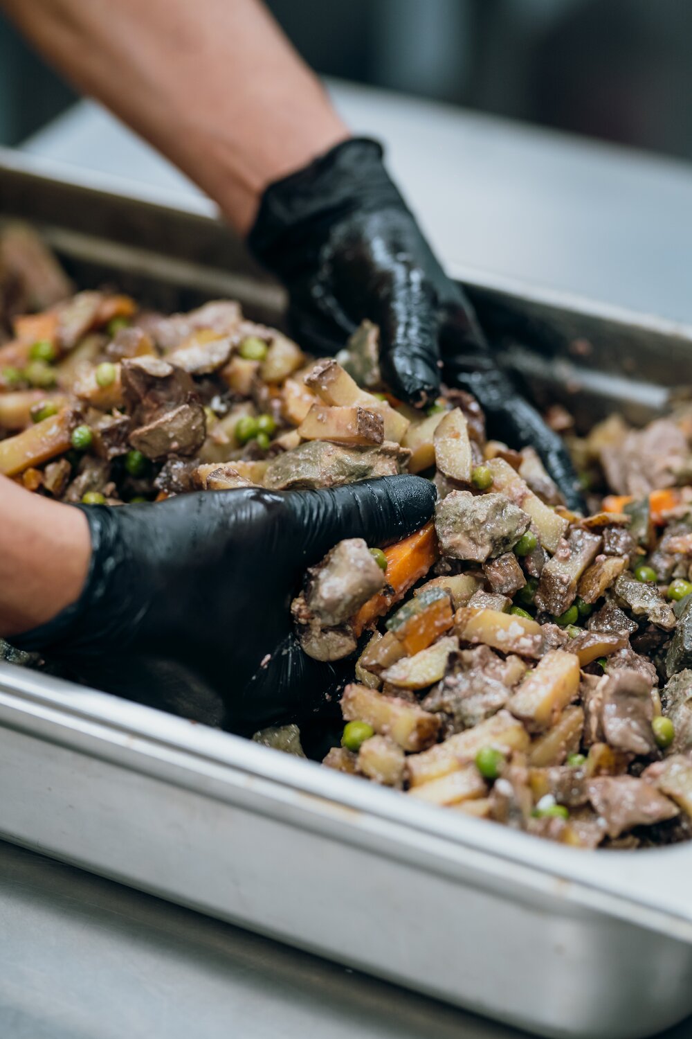 La nueva tendencia en Canarias: la comida natural cocinada para perros