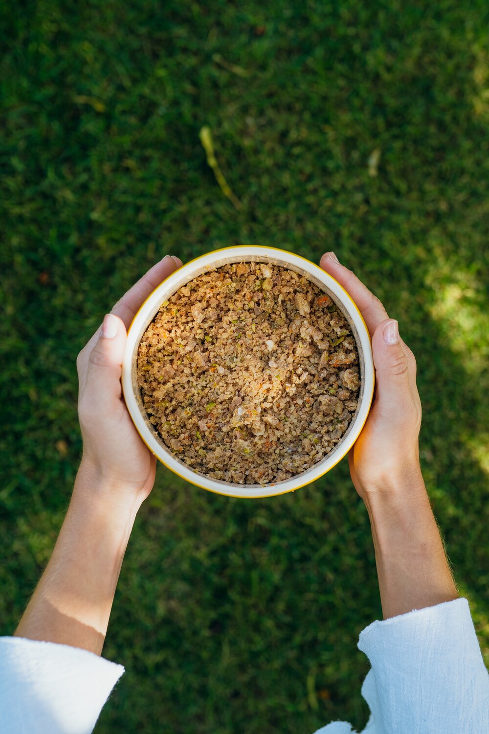 Perros con alergia VS Comida natural cocinada 