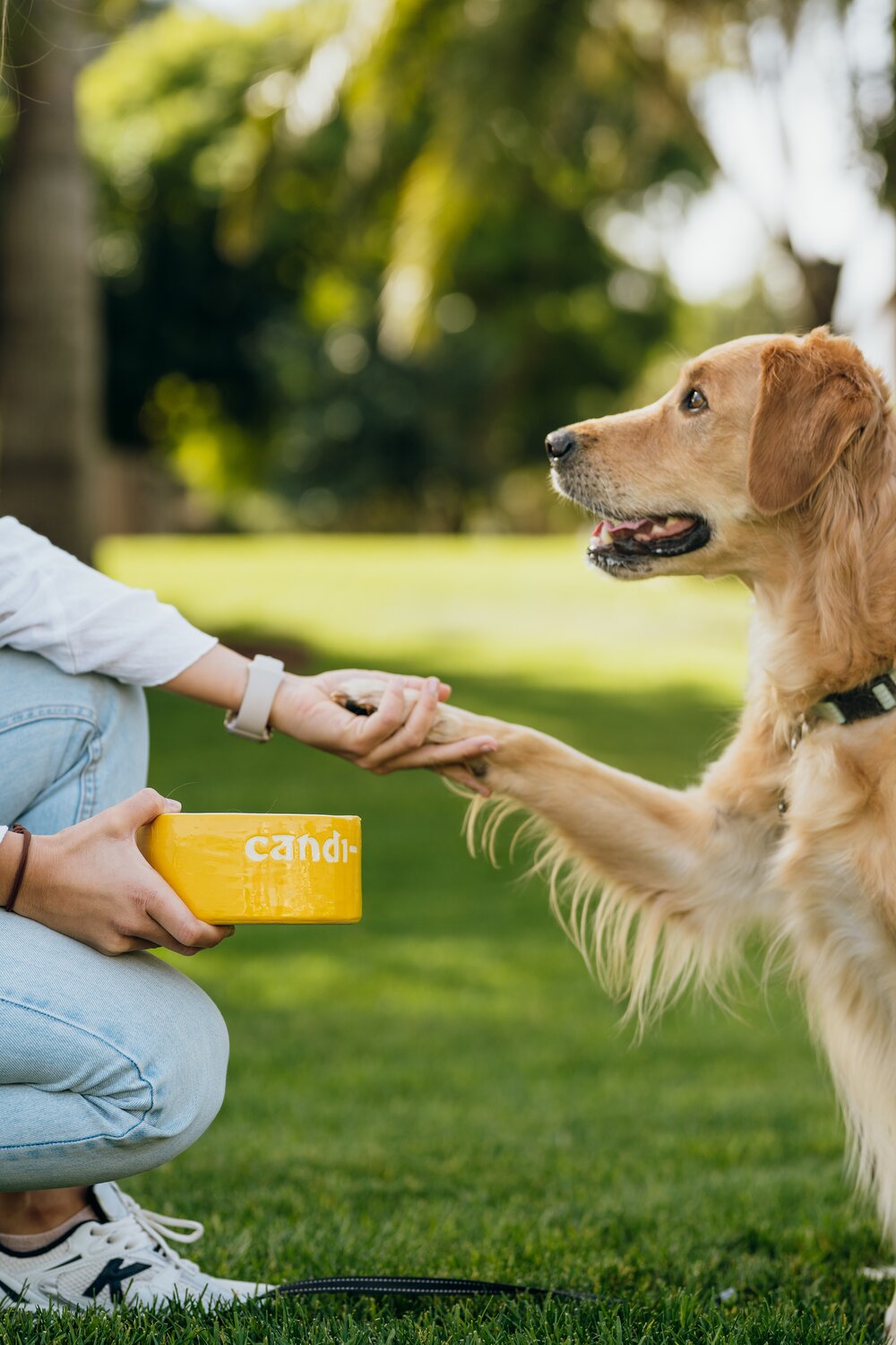 La comida natural cocinada: tu aliado en la salud bucal de tu perro