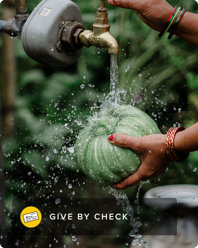 Woman's hands seen washing a vegetable