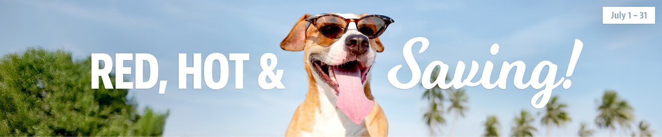 Red, hot, and saving. Dog wearing sunglasses