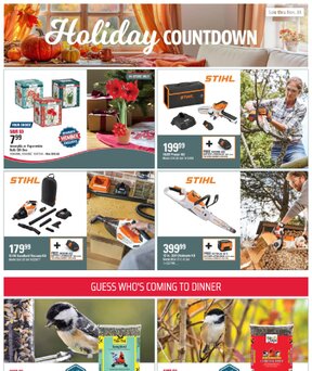 Nov 2025 Sale Thumbnail