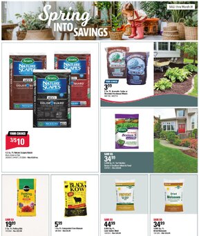 March 2026 Sale Thumbnail