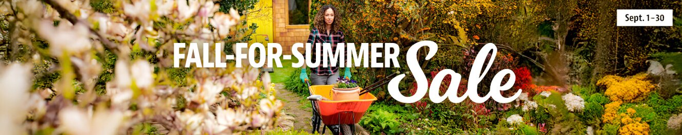 Woman pushing a wheel barrow in backyard garden. Fall for summer sale.