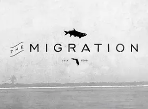 The Migration Film Series