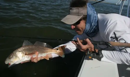 Close-up of a redfish being held over the edge of a boat