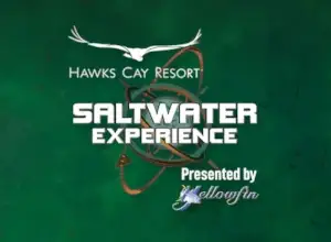 Saltwater Experience Show
