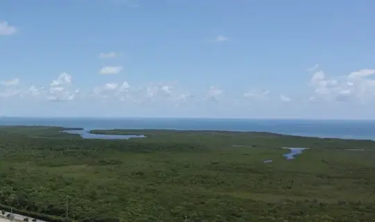 A view of the Florida Everglades from the sky