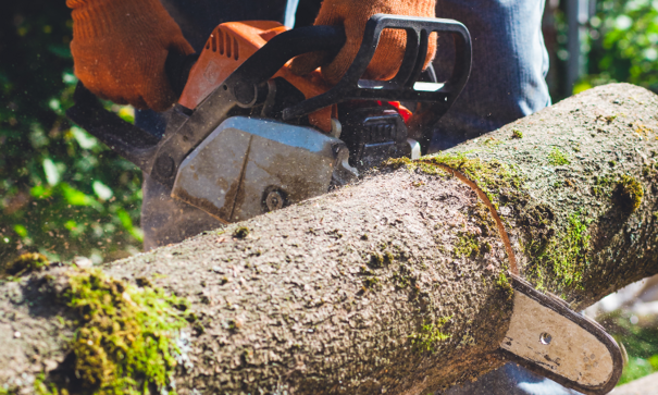 Power Tools