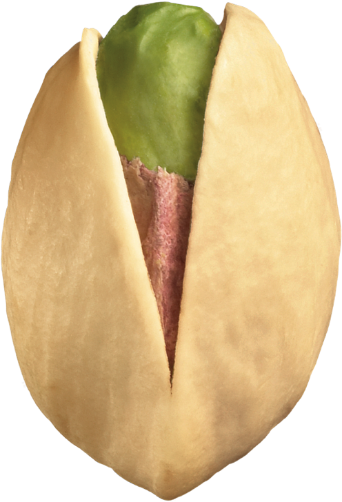 Image of a Pistachio