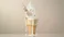Meet Our Vanilla Soft Serve Clear Lip Balm