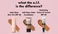 What is the Difference Between a Skin Tint and Foundation?