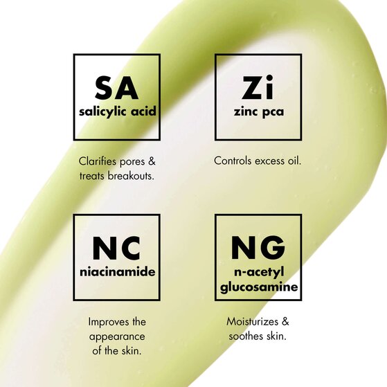 salicylic acid, zinc pca, niacinamide, n-acetyl glucosamine