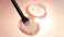 Powder Highlighter Guide