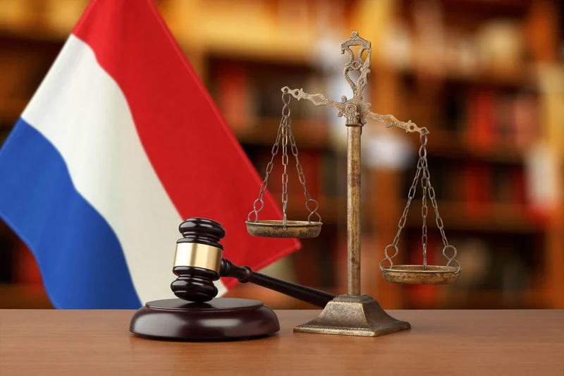 Complete Guide: Dutch Financial Compliance for Businesses