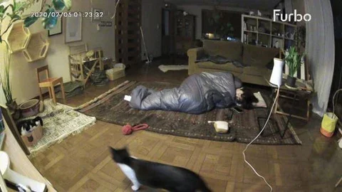 なかなか慣れてくれないトモ＆モエ。こりゃあ福のときより大変かも？？そこでとーさんはトモ＆モエの居場所であるリビングに寝袋を敷いて寝ることに。