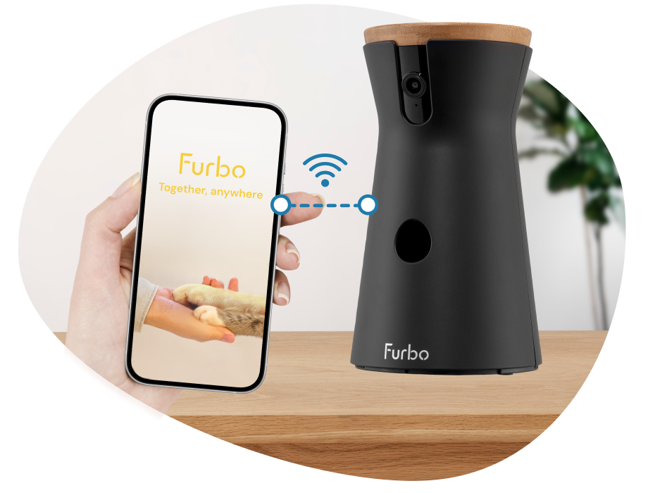 connect App to camera