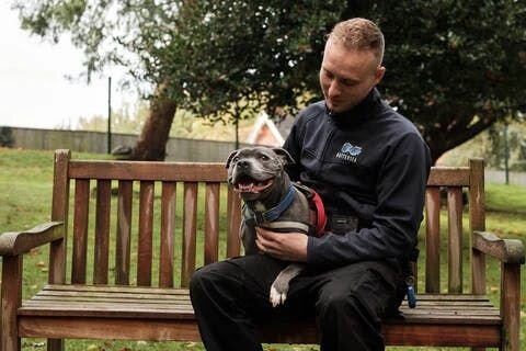 dog with Battersea specialist