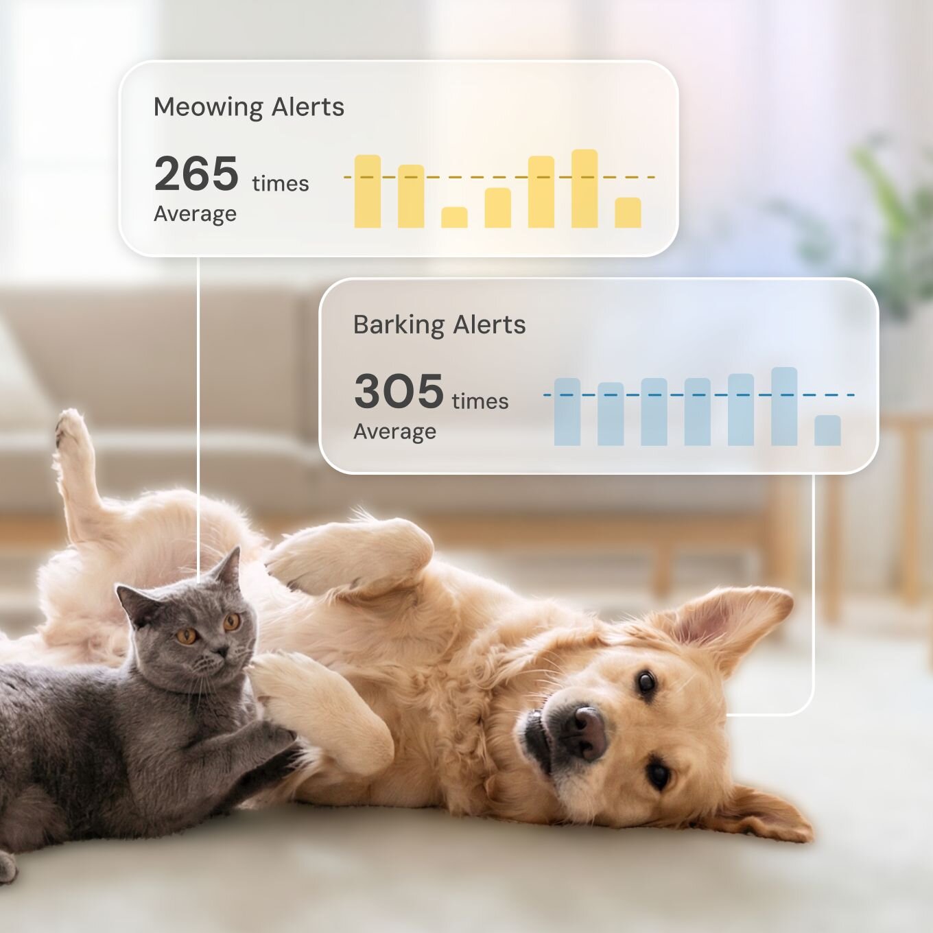 A golden retriever and a grey cat playing on a rug, with two data overlays showing "Meowing Alerts" at a 265-time average and "Barking Alerts" at a 305-time average, each with a bar graph.