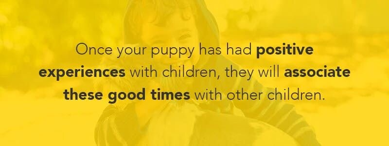once your puppy has had positive experiences with children, they will associate these good times with other children