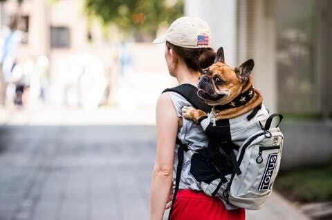 人でも、大好きなことがあると頑張れると思うんです。大人気になった週末のスペシャルケアも、本当にお互いにとって大切な時間になってて。最初はお金をかけずに自分で、って思ってたこですけど、今ではそれが大切な時間になってますね。体の変化もすぐわかるので、本当に早く気付ける。そういう意味でも大切な時間。...