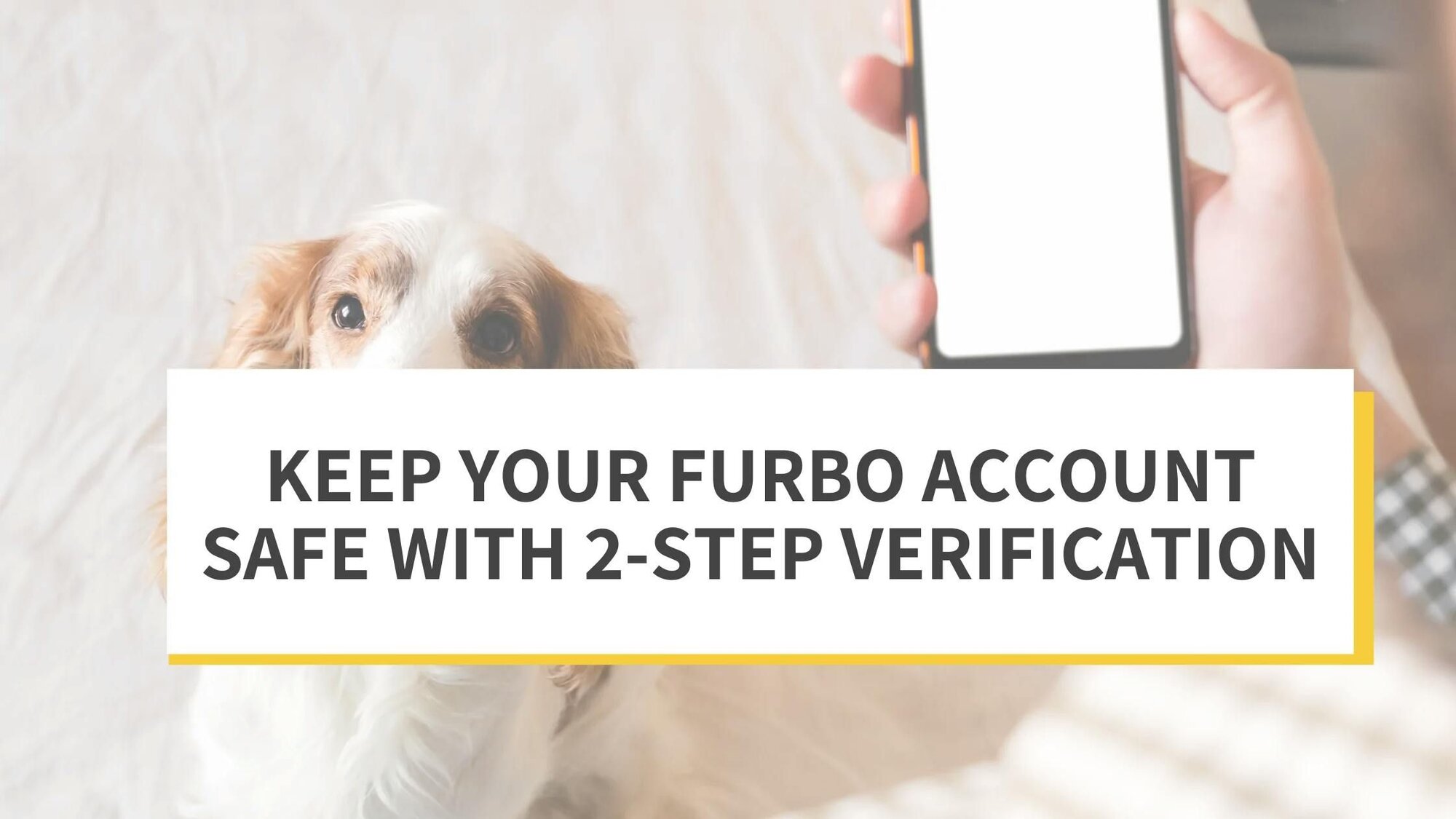 Keep Your Furbo Account Safe with 2-Step Verification