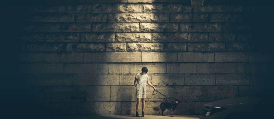 You can trust your dog at night