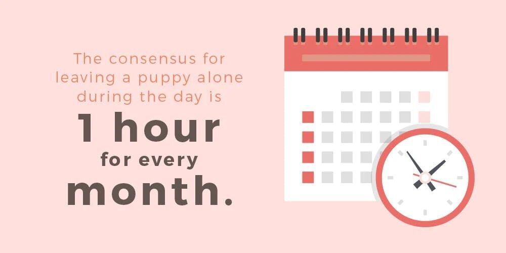 1 hour for every month