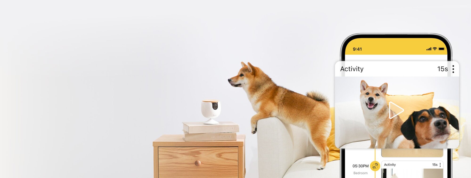 monitor daily activity